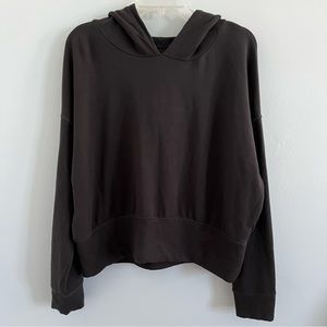 Aerie Offline Fleece Cropped Hoodie Sweatshirt L